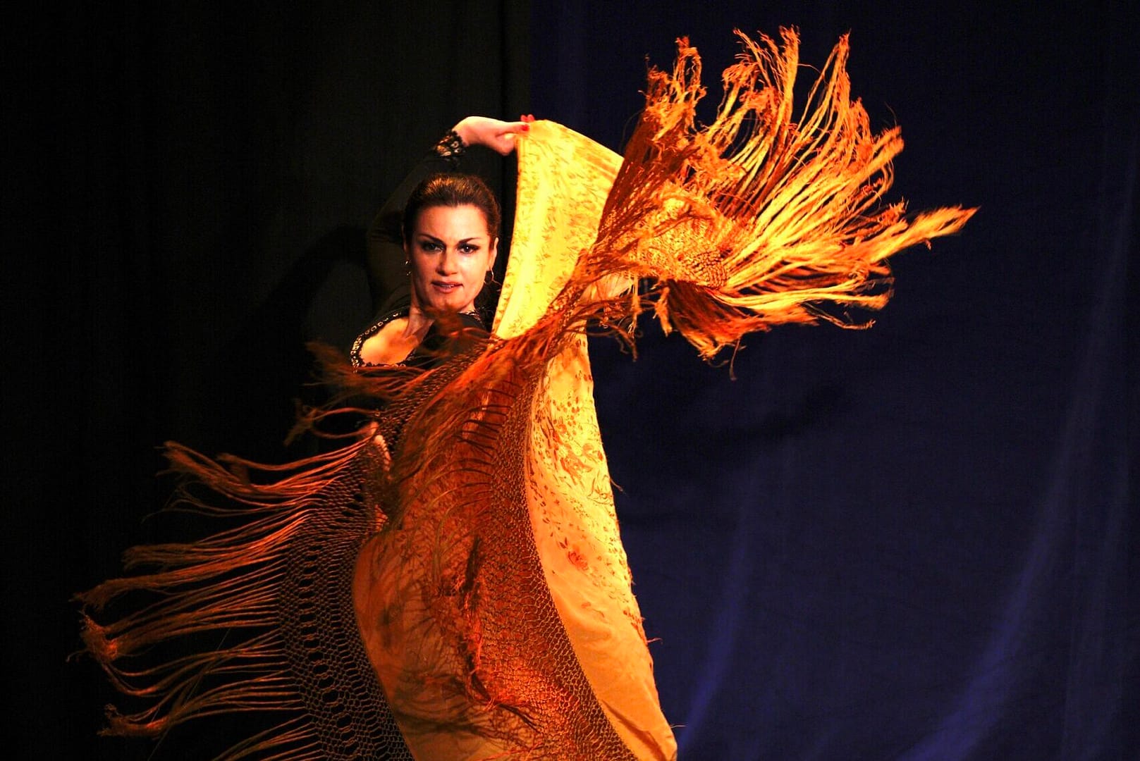Dancer Aylin Bayaz looks directly into the camera as she lifts one arm above her hand, holding onto the golden tasseled bottom fabric of her dress. Her black hair is slicked back. She looks both triumphant and joyful. 